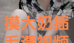 摸逼视频,从“摸逼视频”看网络低俗内容的传播与反思